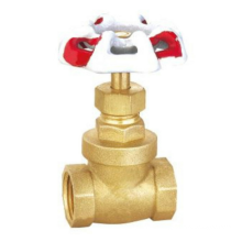 High quality brass gate valve geberit valve eev